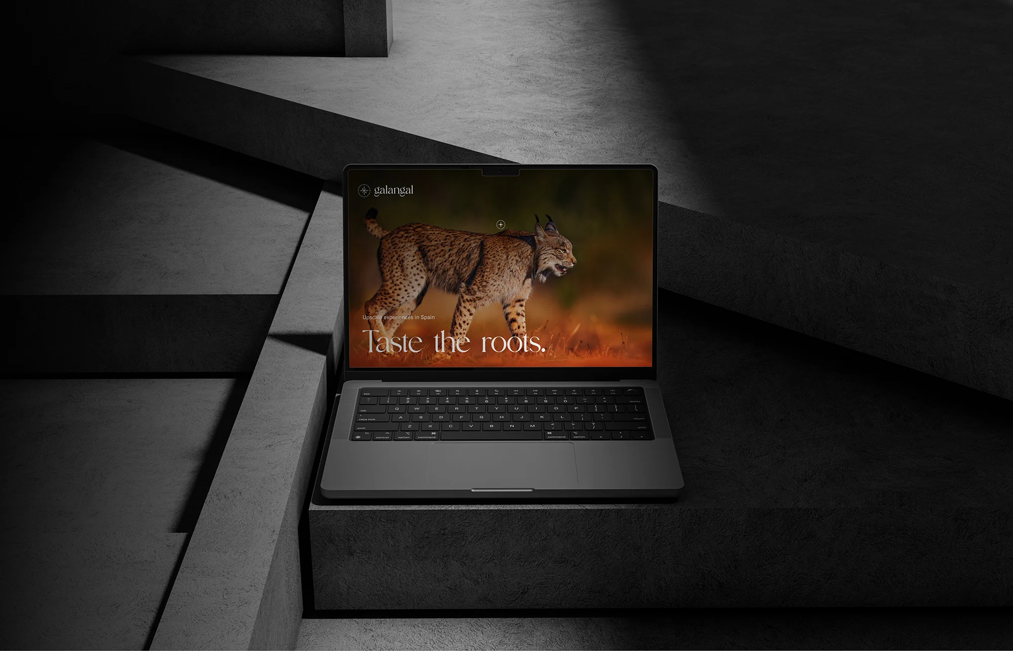 Galangal Travel project preview