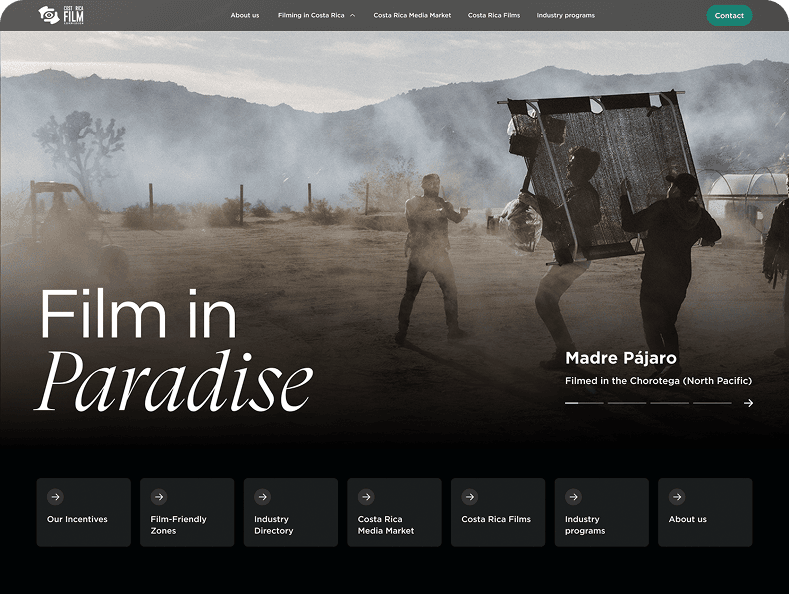 Design - Branding y diseño web