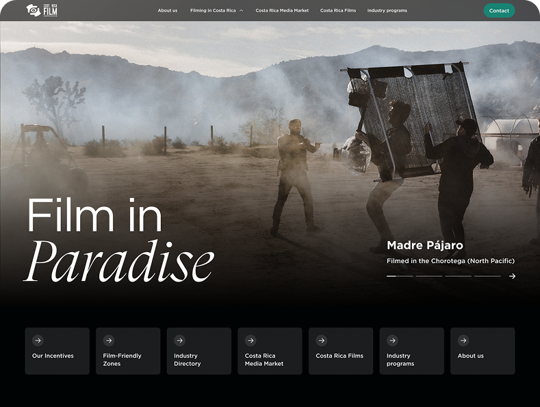 Design - Branding y diseño web