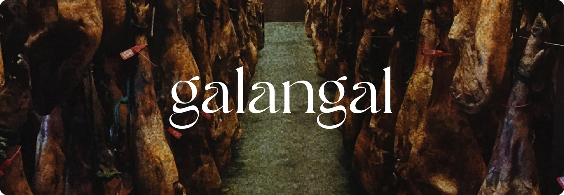 Proyecto Galangal Travel - Branding y diseño de marca